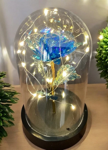 Brokoli Home Fanus Içerisinde Dekoratif Sonsuzluk Gülü , Anneler Günü , sevgililer Günü , Hediyelik - 3