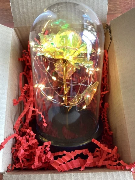 Brokoli Home Fanus Içerisinde Dekoratif Sonsuzluk Gülü , Anneler Günü , sevgililer Günü , Hediyelik - 2