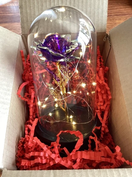 Brokoli Home Fanus Içerisinde Dekoratif Sonsuzluk Gülü , sevgililer Günü , Hediyelik Anneler Günü - 2