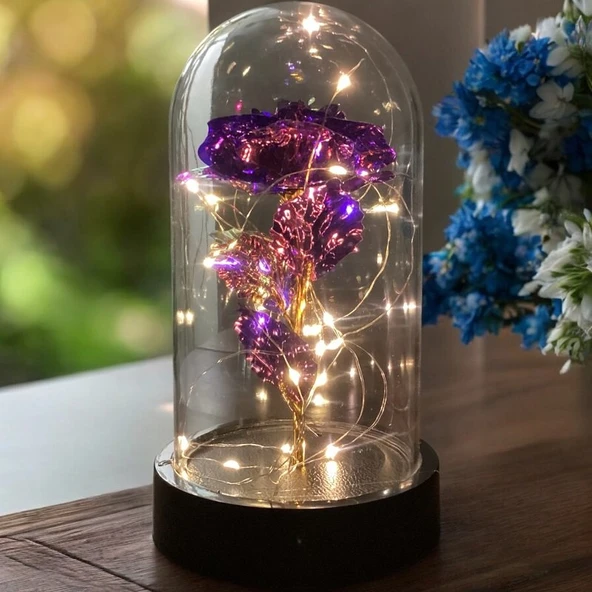 Brokoli Home Fanus Içerisinde Dekoratif Sonsuzluk Gülü , sevgililer Günü , Hediyelik Anneler Günü