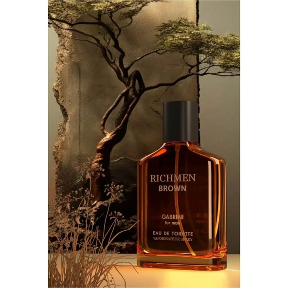 Piev Gabrini Richmen Brown EDP Erkek Parfüm 100 ml - Resim 5