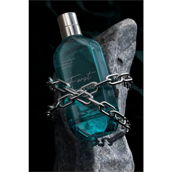 Piev Gabrini Forstmen Erkek Parfüm 120 ml - 3