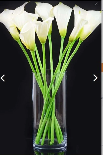 Jenisa Dekoratif Silindir Cam Bambu Canlı Kuru Çiçek Vazo 10x20 Cm - 2