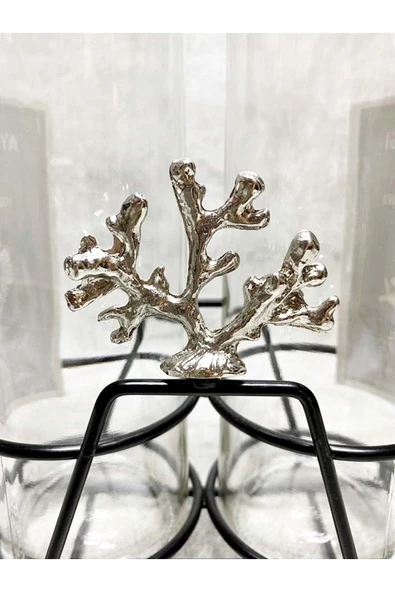 Jenisa Gümüş Mercan Kısa Stant 2 Adet Şeffaf 750 Ml Etiketli Akıtıcılı Yağdanlık Yağlık - 3