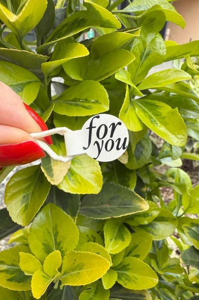 For You Model1 Krem Rengi İp Fitil Etiketi 100 Adet - 3