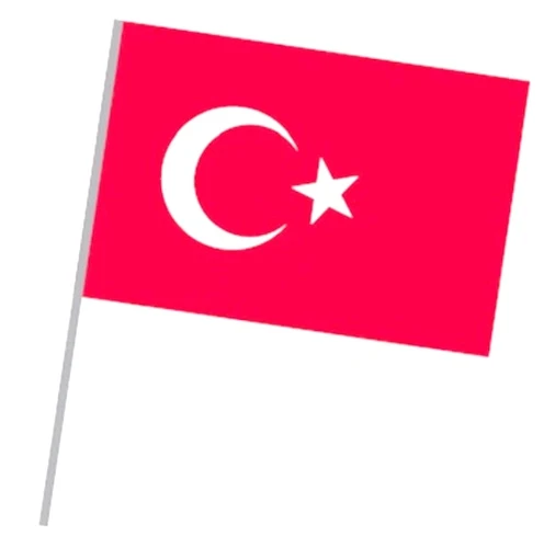Sopalı Bez Bayrak 20X30 Türk Bayrağı  - 10 adet