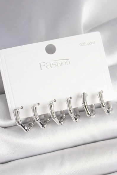 925 Ayar Gümüş Çivi Pirinç Gümüş Renk Bambu Halka Model Kadın Küpe Seti - EBJ250412W32701 ürün görseli