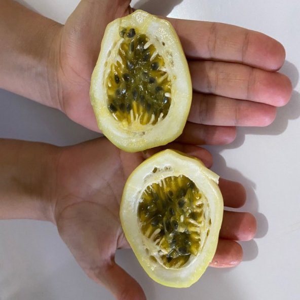 Özel Dev Meyveli Passiflora Edulis Var Flavicarpa Tohumu (30 tohum) - 12
