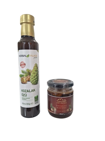 Çam kozalağı özü 280 gr & Kozalak macunu 240 gr avantajlı kozalak seti