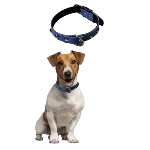 Petinka Yumuşak Dokulu Deri Köpek Medium Gezdirme Boyun Tasması - 5