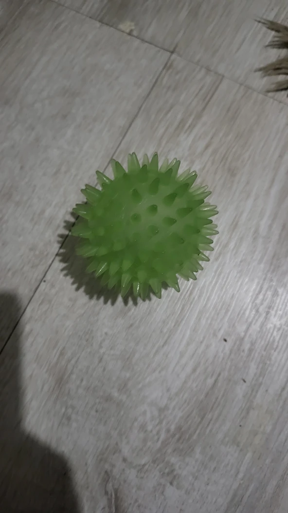 Düdüklü kedi topu