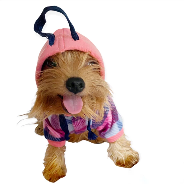 Mini Suqare Pie Kapşonlu Ceket Sweat by Kemique Köpek Kazağı