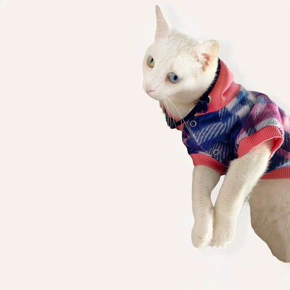 Mini Suqare Pie Kapşonlu Sweatshirt Ceket Kedi Süeteri Kıyafeti - 4