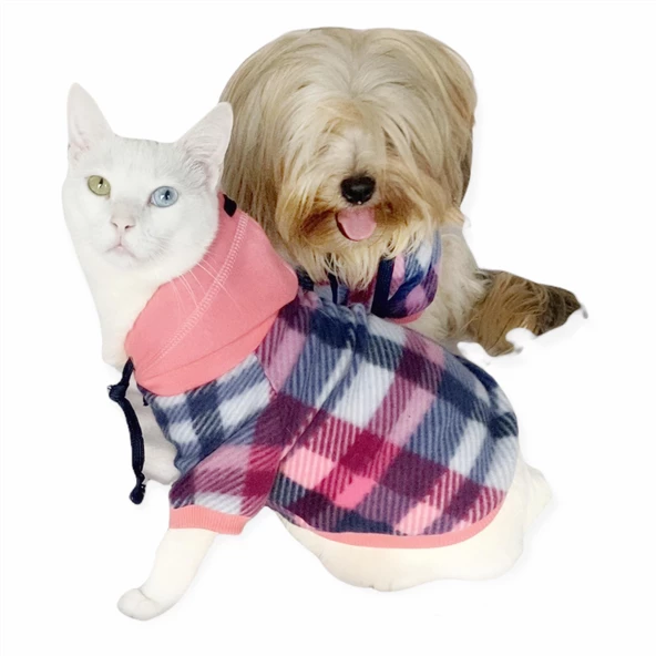 Mini Suqare Pie Kapşonlu Sweatshirt Ceket Kedi Süeteri Kıyafeti - 6