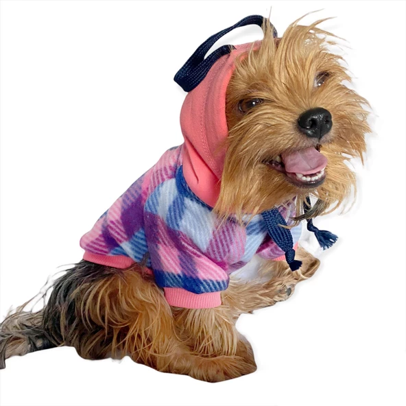 Mini Suqare Pie Kapşonlu Ceket Sweat by Kemique Köpek Kazağı - 3