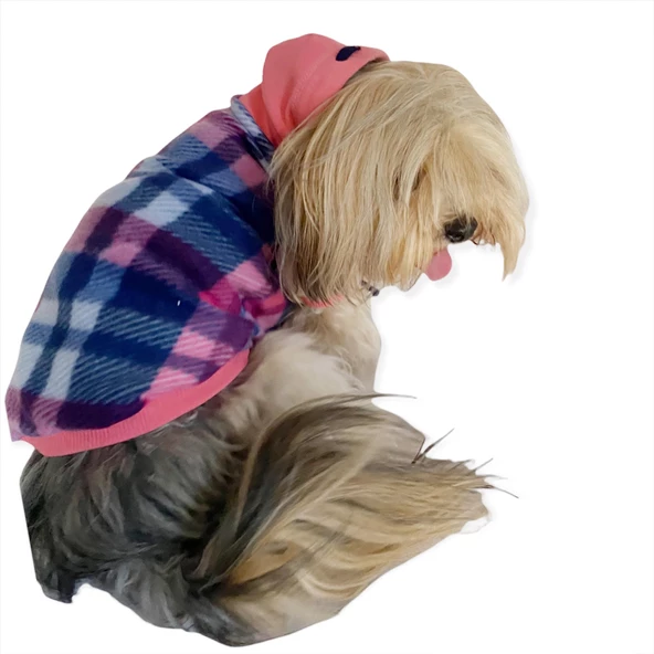 Mini Suqare Pie Kapşonlu Ceket Sweat by Kemique Köpek Kazağı - 6