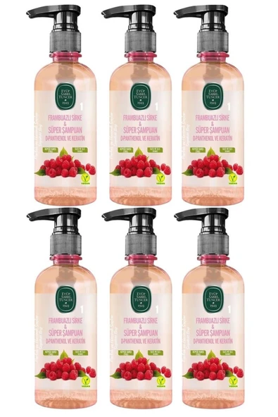 Frambuazlı Sirke Süper Şampuan Seyahat Boy 100 ml X6 ürün görseli