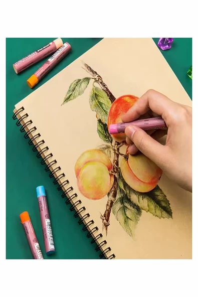 Telli A5 Kraft Eskiz Defteri Spiralli 50 Yaprak Karakalem Çizim Seti Sketch Pad Gölgelendirme Dereceli Kalem Yandan Açma - 8