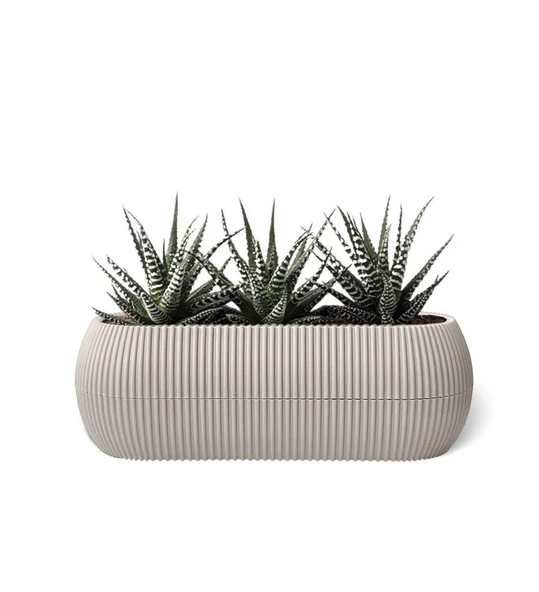 Omnipazar Mercan Dekoratif Sukulent Kaktüs Plastik Saksı Takımı 6'lı Set Bej - Resim 2