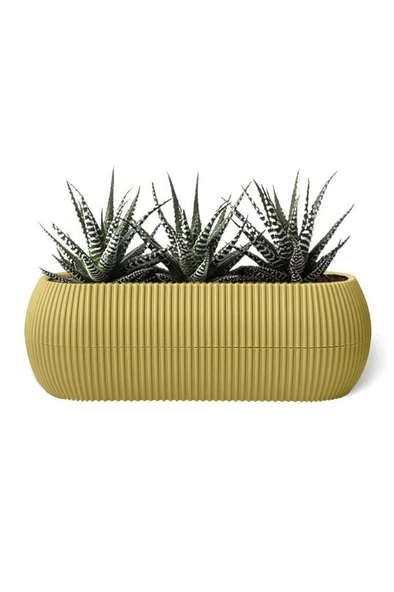 Omnipazar KRS-371 Dekoratif Plastik Mercan Uzun Saksı 0.55 Litre No 1 - Resim 10