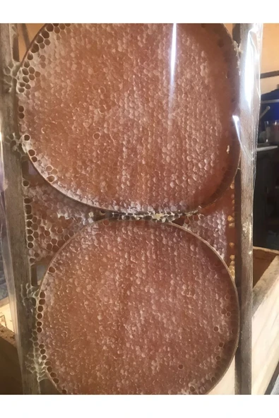 Bal Bal KARAKOVAN BAL - 4