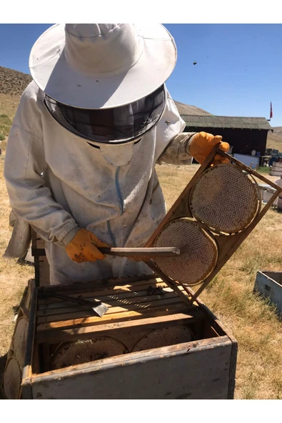 Bal Bal KARAKOVAN BAL - 2