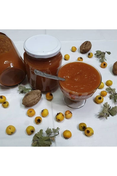 ORGANİK ALIÇ MARMELATI 1KG