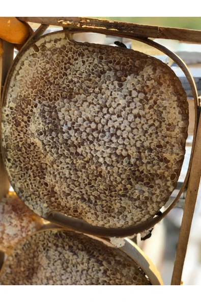 Bal Bal KARAKOVAN BAL - 6