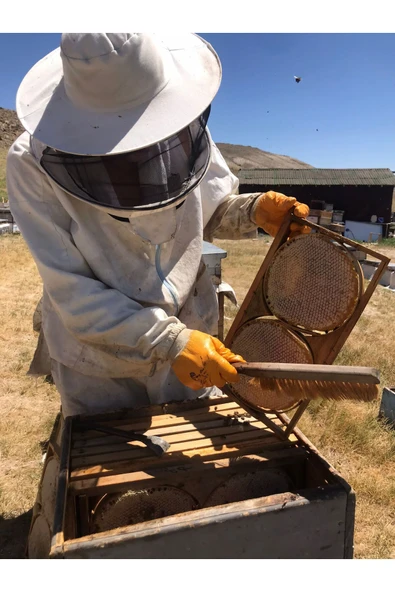 Bal Bal KARAKOVAN BAL - 5