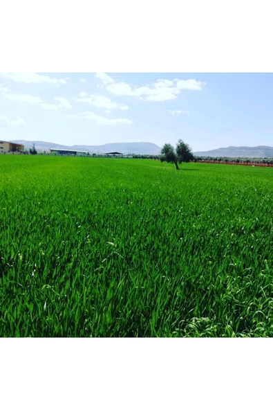 Gübre 20 Kg ürün görseli