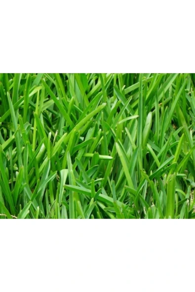 Buğday Sıvı Azot Gübresi 20 Kg ürün görseli