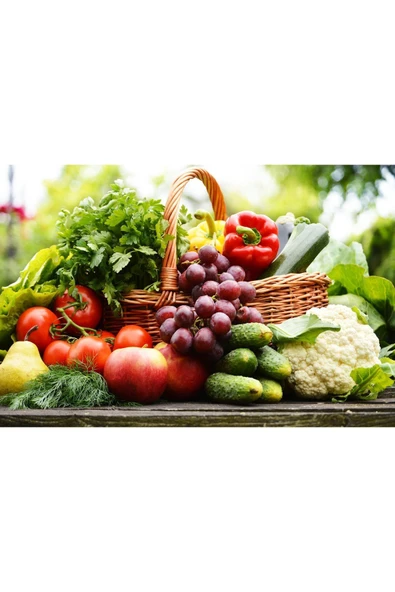 Sıvı Gübre 20 kg - Resim 2