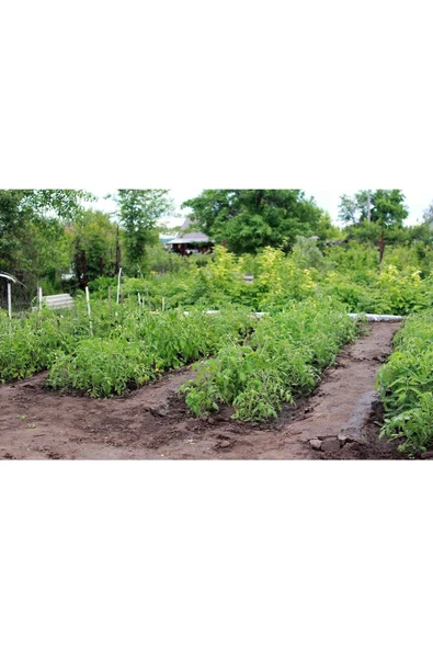 Sıvı Gübre Genel 20 kg ürün görseli