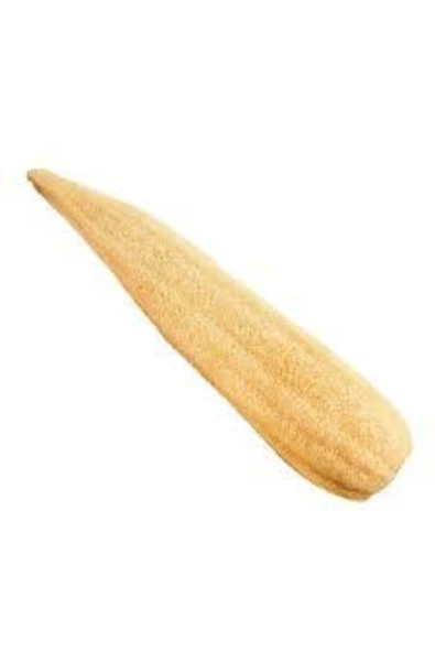 ÇİDEM'S Kese Hamam Kesesi Kabak Lifi 60 - 70 Cm Ham Kabak Lifi Işlenmemiş Lif Kabak