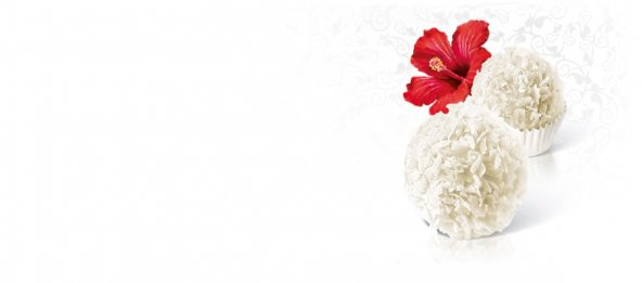 Raffaello T15 Çikolata 150 G - 4