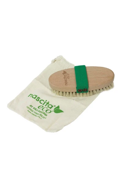 Nascita At Kılı Fırçası 12 - Yeşil - 3