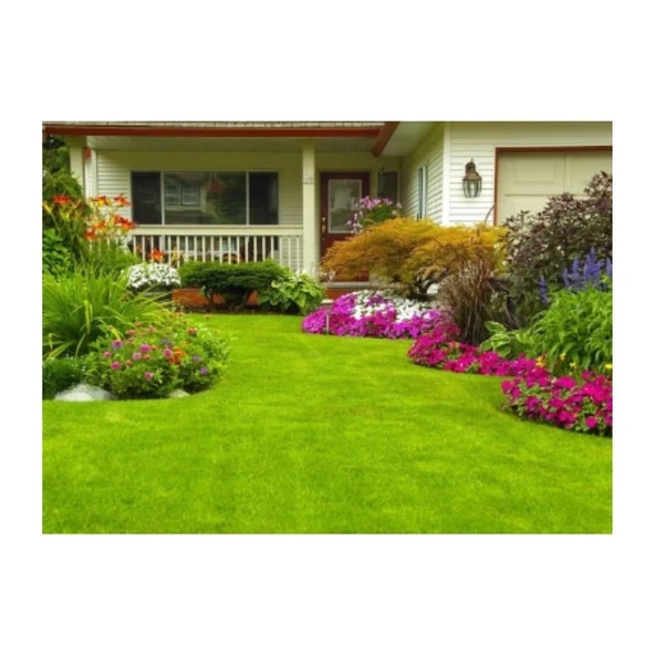 Lippa Çim Tohumu Norden 4üÜ Karışım İthal - 3