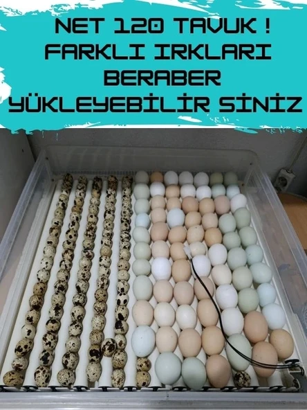 Gfallx Kalibre Cihazlı Beyaz Kaz Uyumlu 120 Yumurtalık Otomatik Kuluçka Makinesi - 9