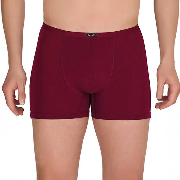 Berrak 4488 Modal Erkek Boxer XXL