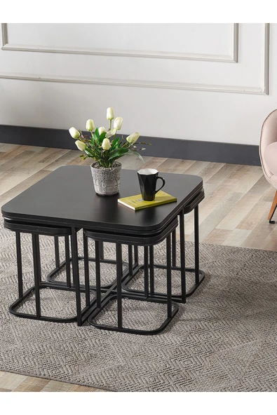 SEDAŞ LIVING UNITS 4+1 SİYAH AHŞAP SİYAH METAL AYAK TAKIM SEHPA - 2