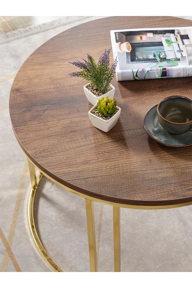 SEDAŞ LIVING UNITS Salon Orta Sehpa 70 CM  KOYU CEVİZ Suntalam (Gold) Metal Ayak Orta Sehpa - Resim 2