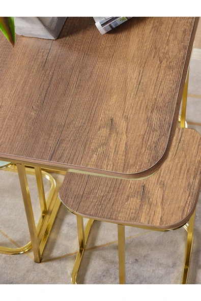 SEDAŞ LIVING UNITS PELİKAN 4+1 KOYU CEVİZ (SUNTALAM) GOLD METAL AYAK TAKIM SEHPA - 2