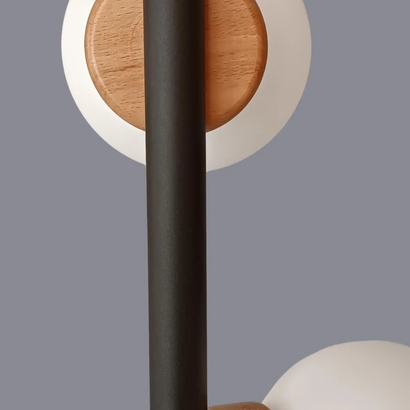 Fiora Siyah Glop Lambader - 3