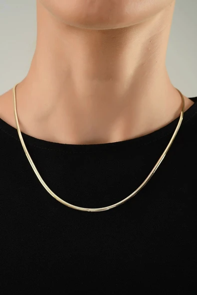 Italyan Balık Sırtı Altın Kolye - Resim 3