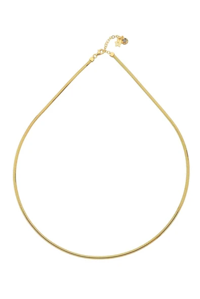 Italyan Balık Sırtı Altın Kolye - Resim 2