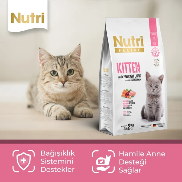 Kitten Tavuklu Yavru Kedi Maması 2 kg