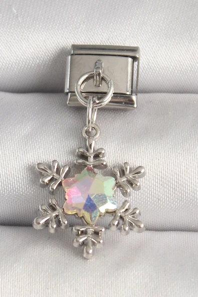 316L Çelik Gümüş Renk Hologram Mineli Kar Tanesi Model Nomination Charm - TJ-BC1272
