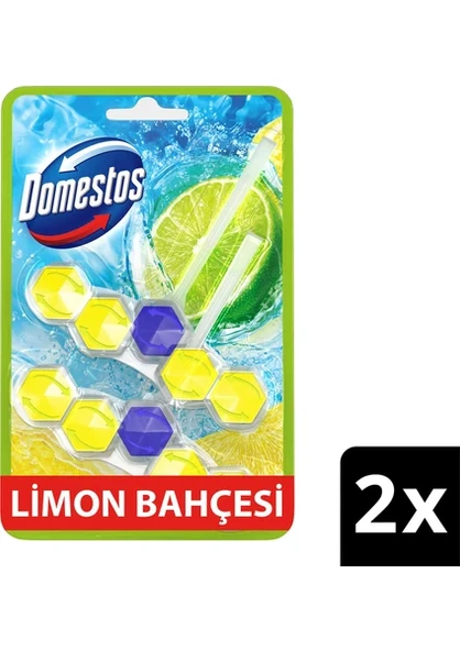 Domestos Tuvalet Bloğu Limon Bahçesi 100 G