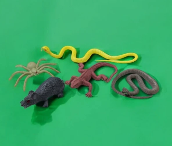 Sürüngen Hayvanlar Figür Oyuncak Plastik Model 5 parça - Çok Renkli - 2