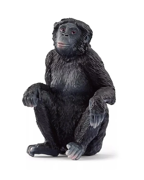 Schleich Dişi Bonobo 14875